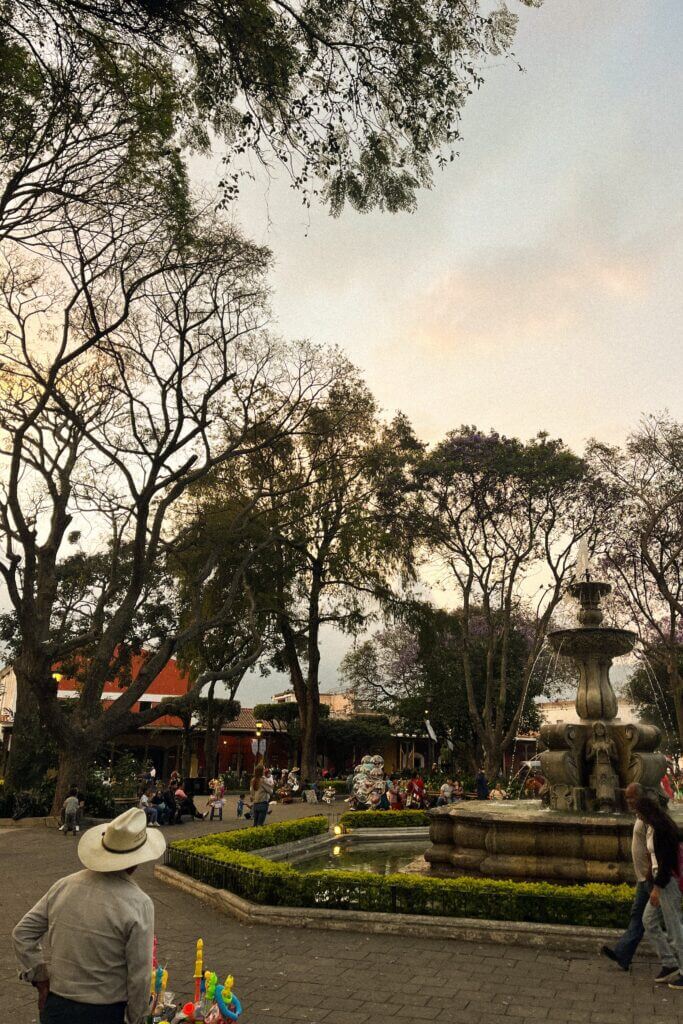 Park in Central America