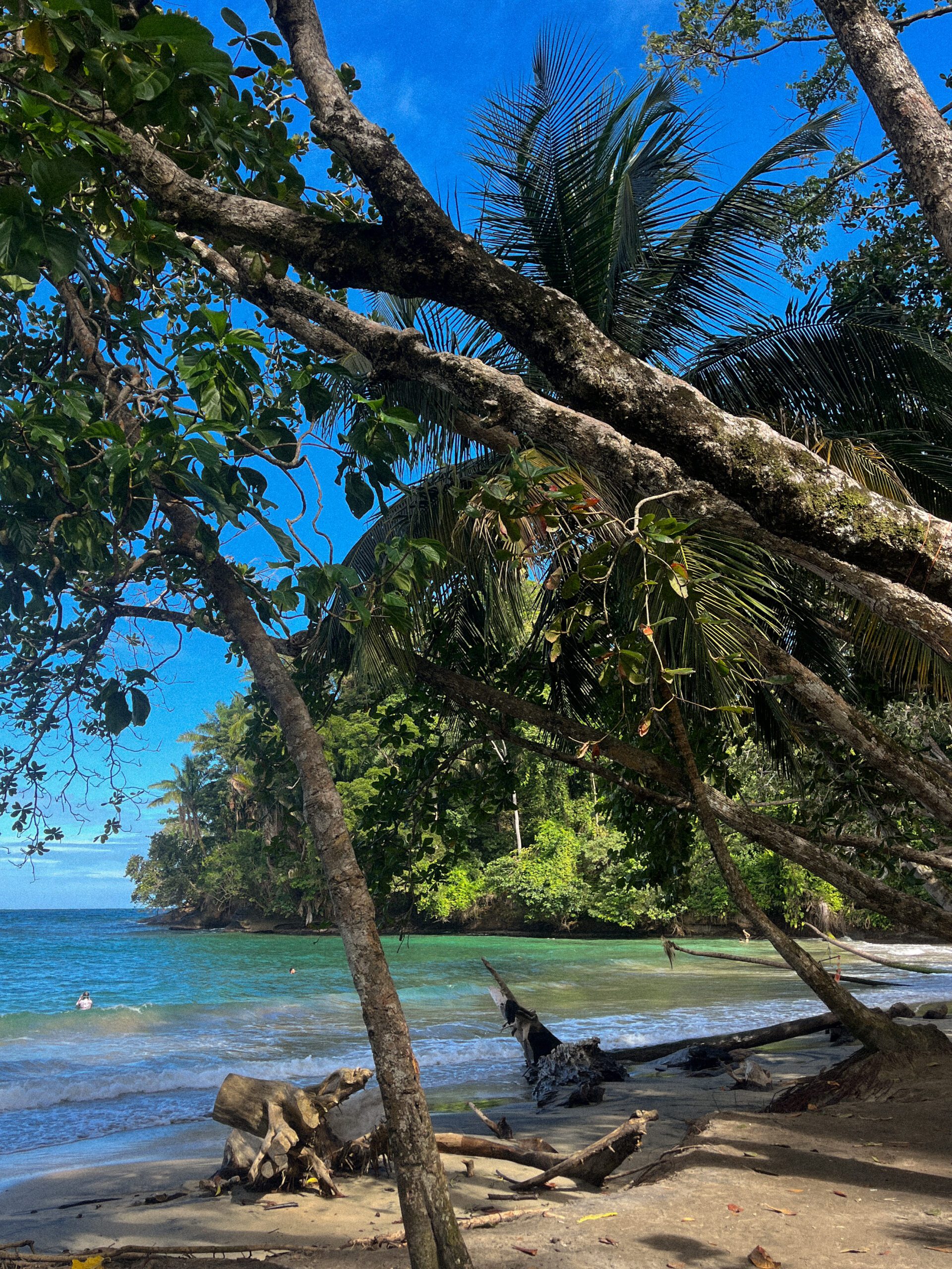 Must do activities Puerto Viejo Costa Rica