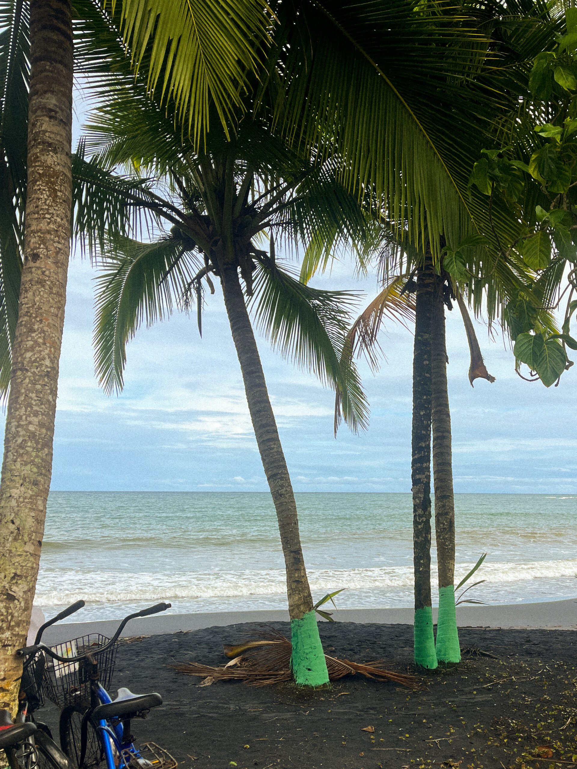 Must do activities Puerto Viejo