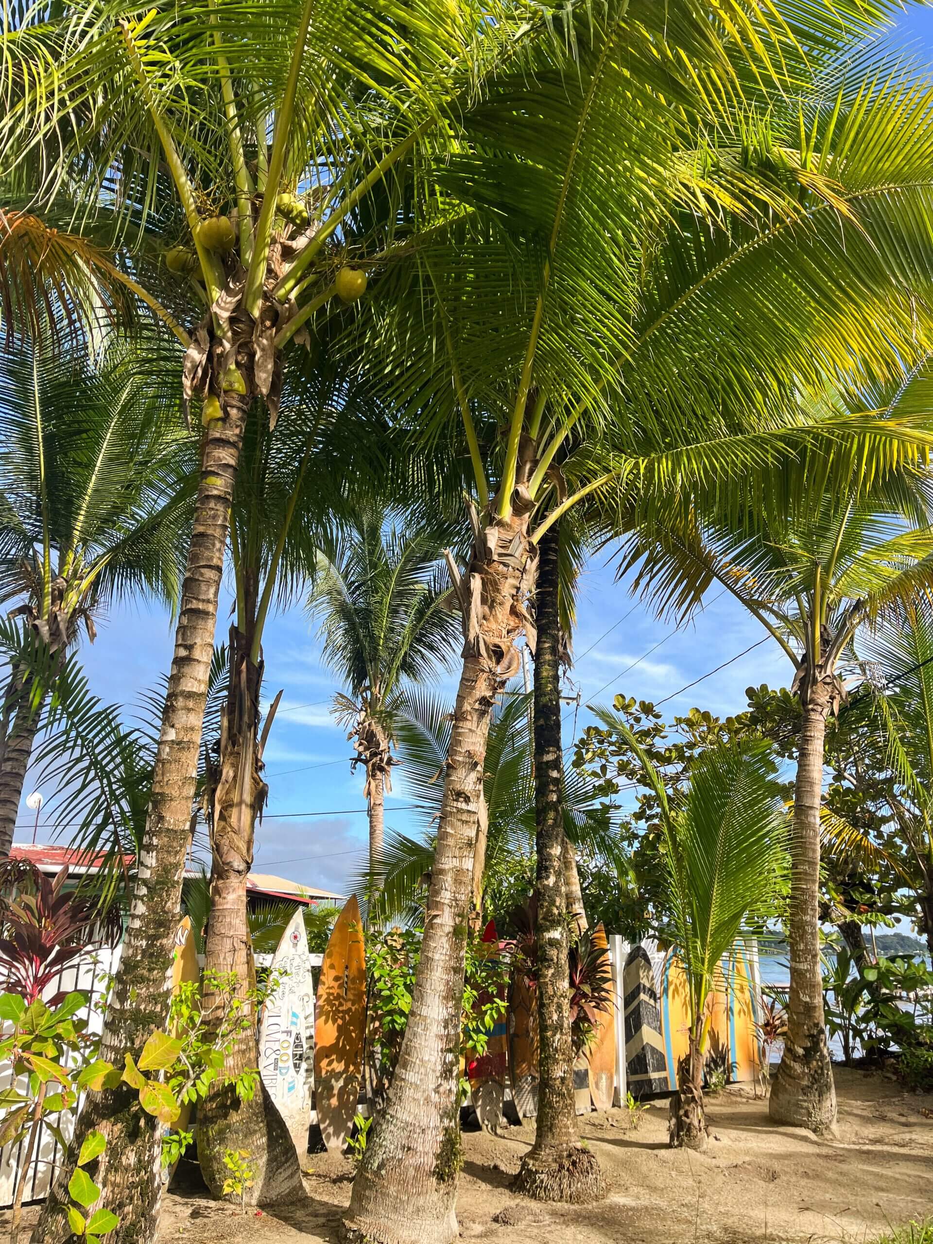 budget travel in Panama