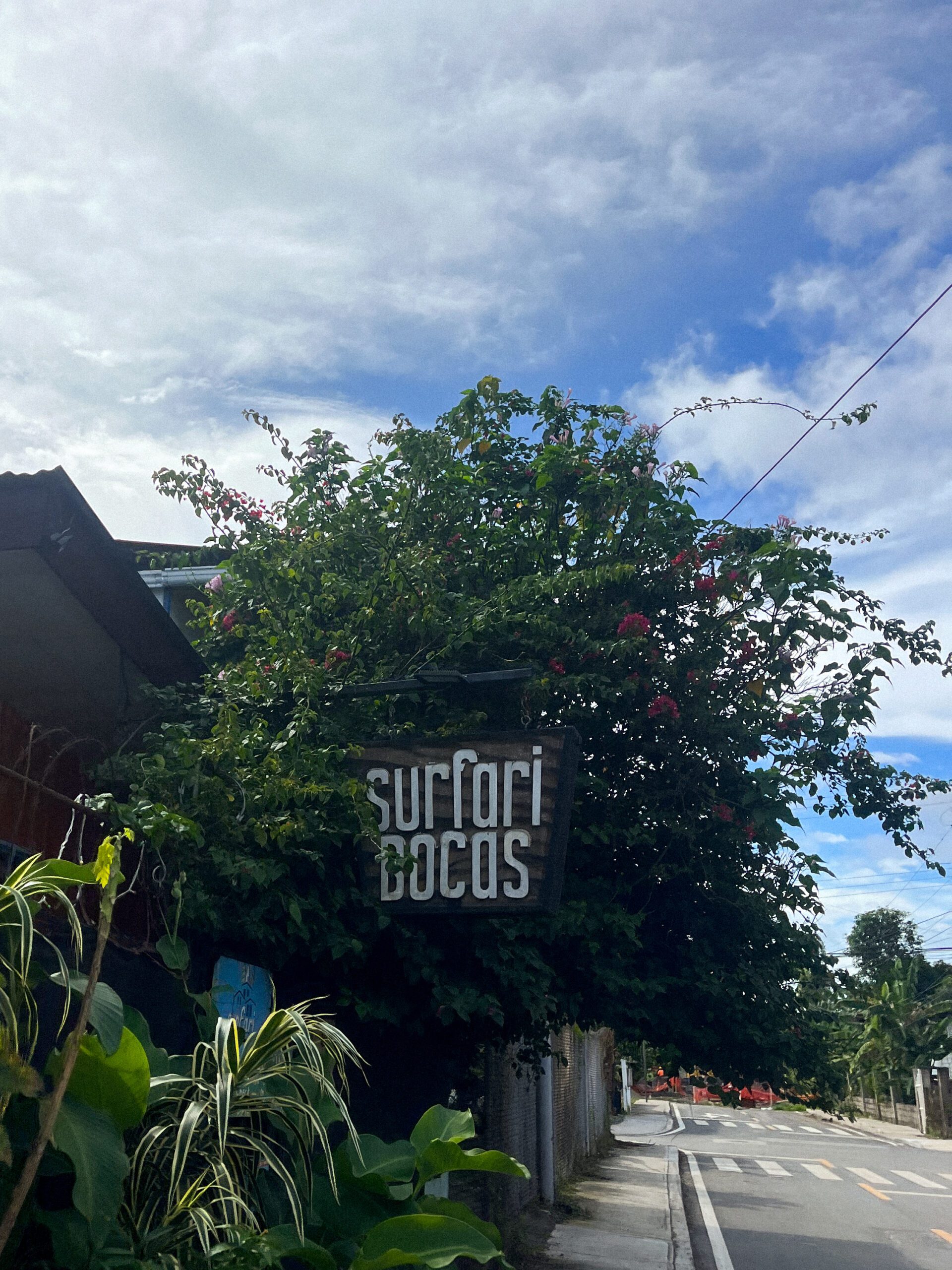 Budget-friendly hostel in Bocas del Toro, Panama