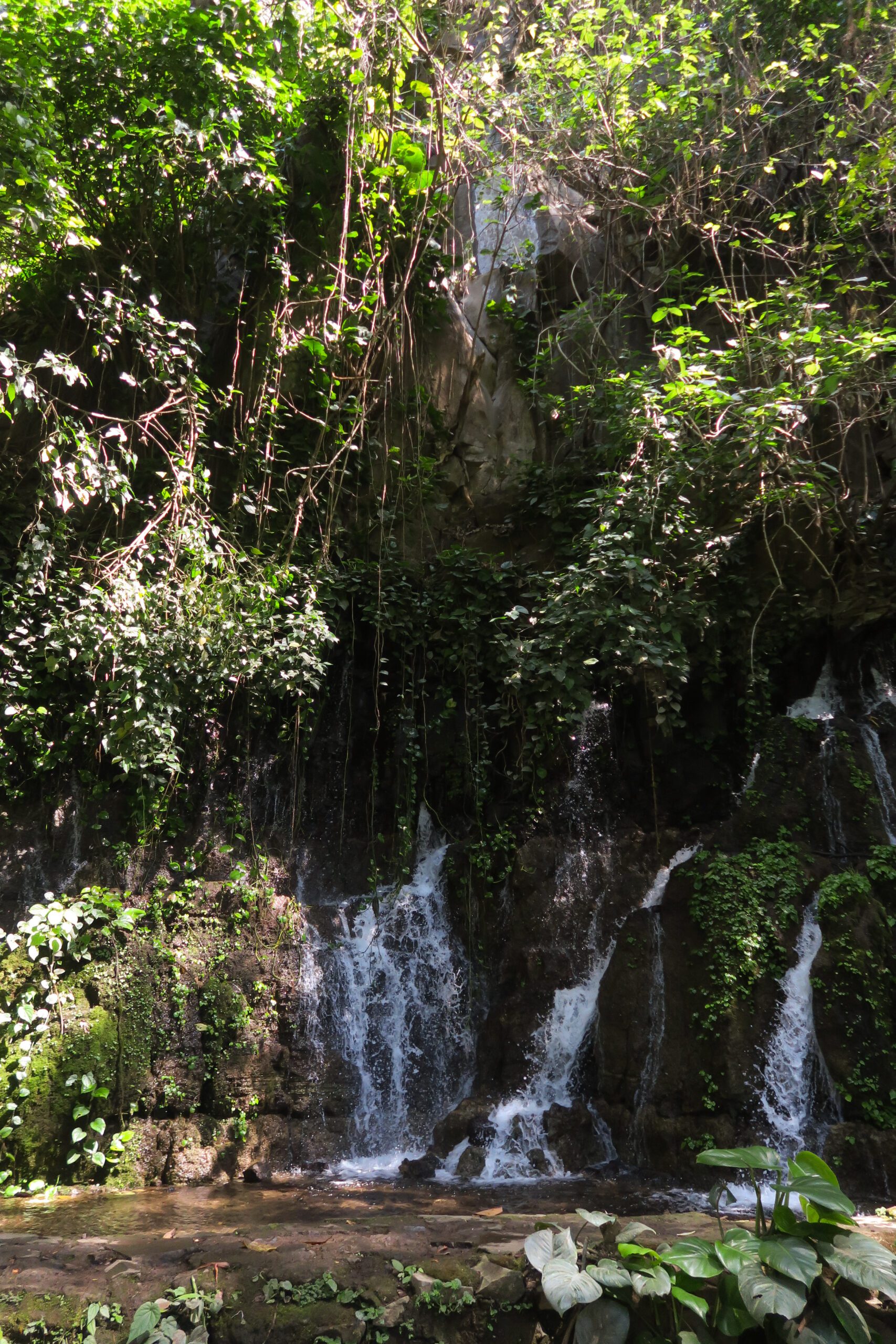 7 waterfalls, Ruta de las Flores