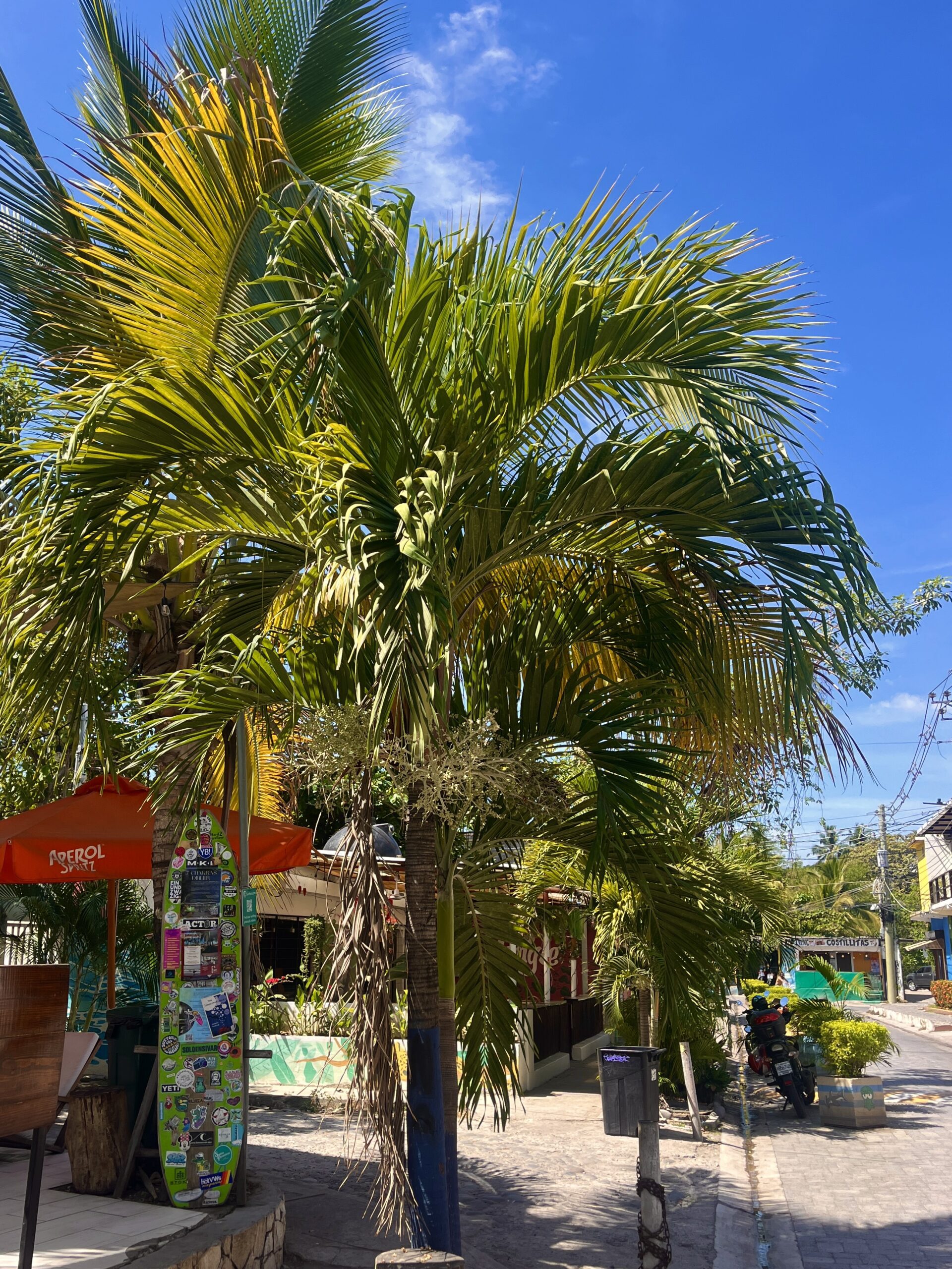 El Tunco town in El Salvador travel itinerary 