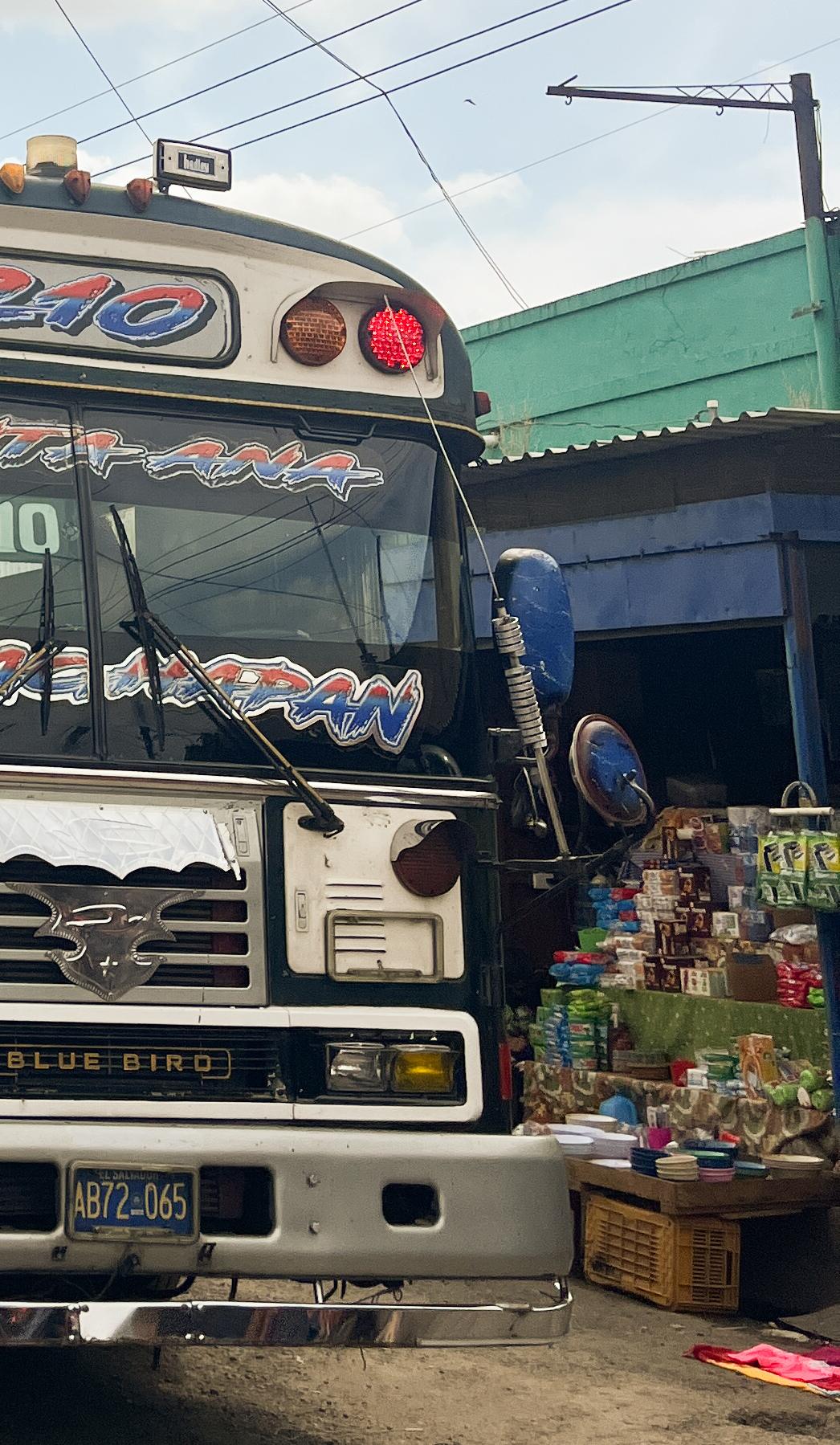 Bus Ruta de las Flores 