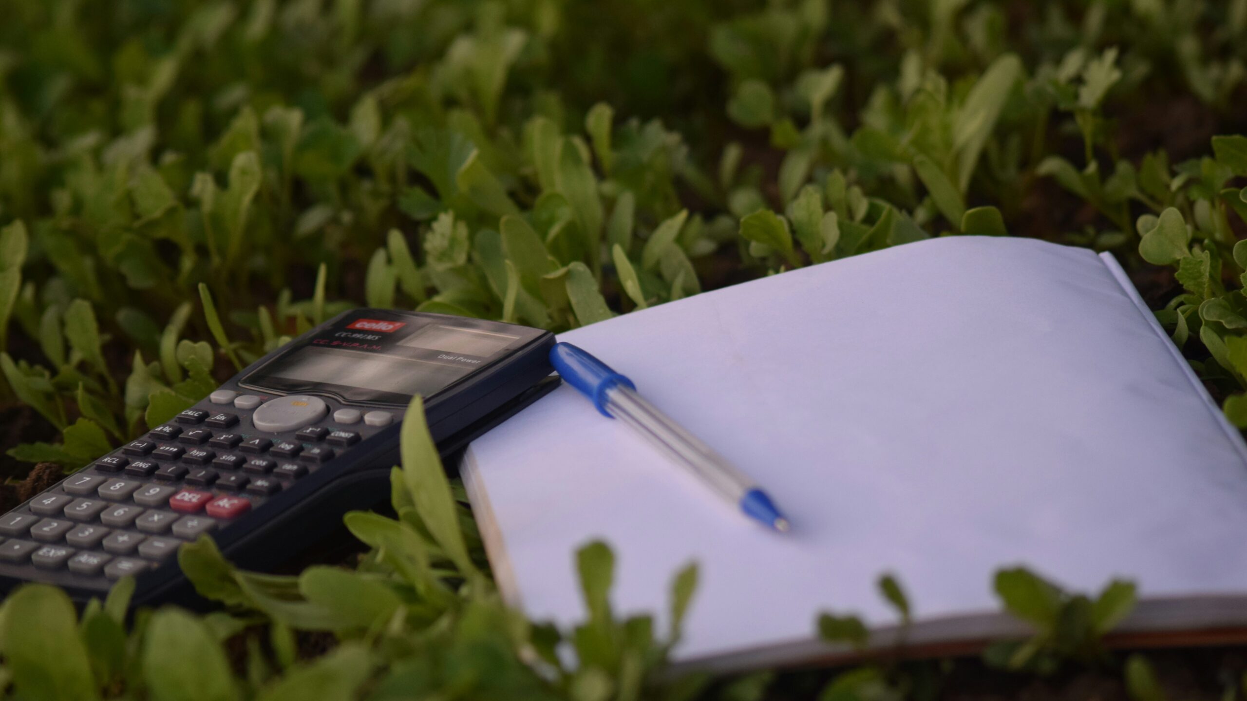 Budgeting for vacation