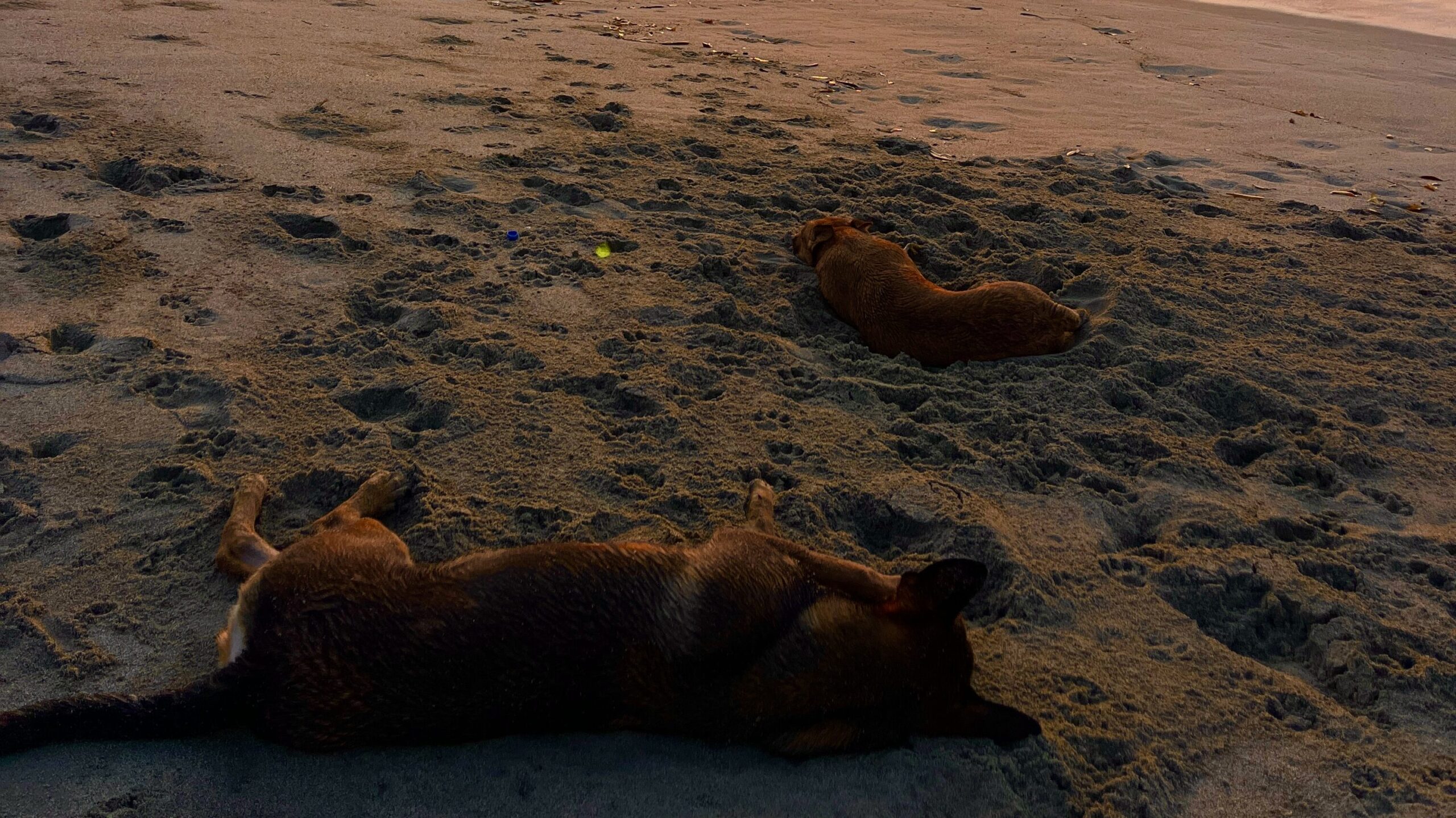 Slow budget traveling