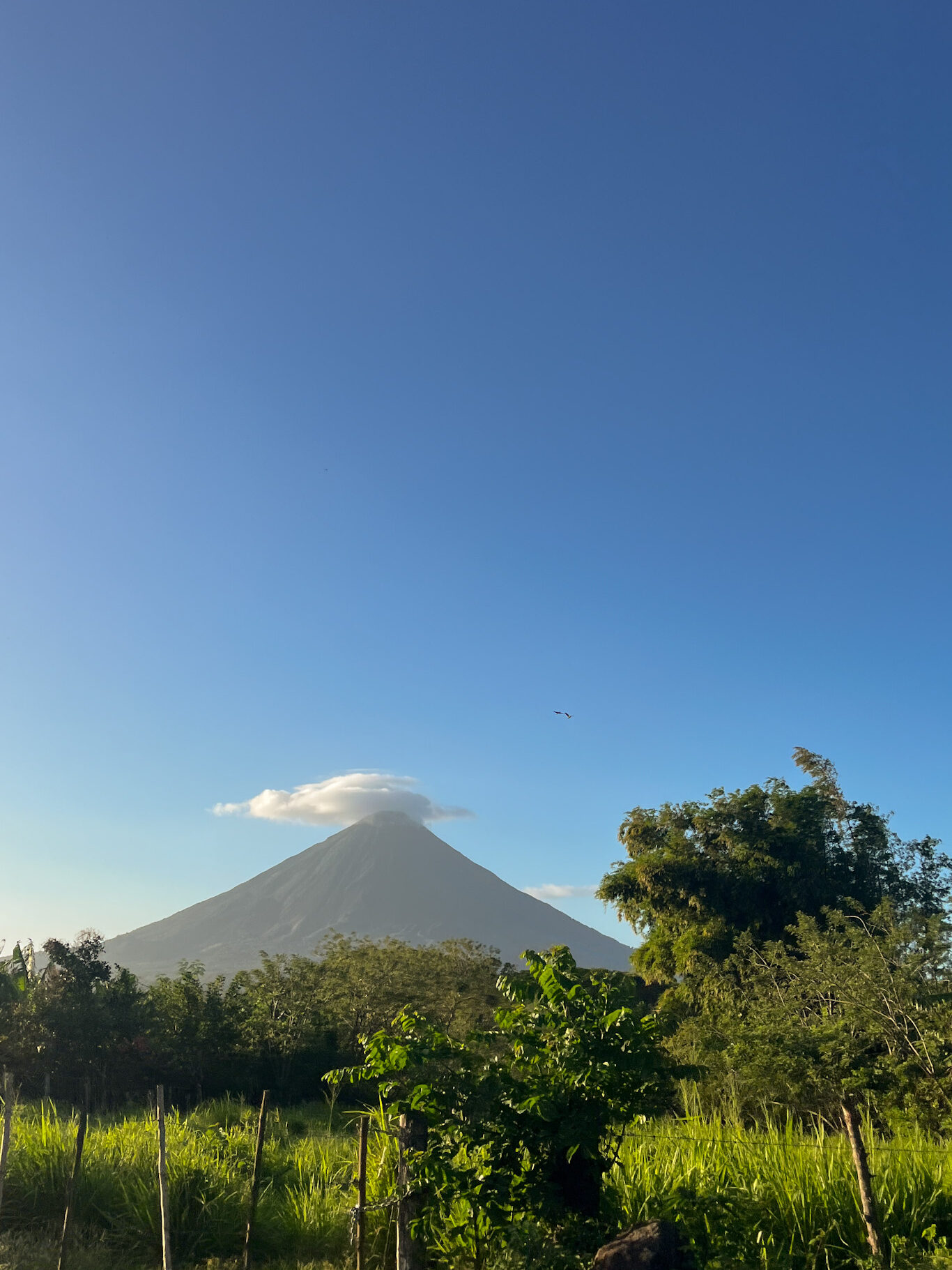 Nature in Ometepe travel guide