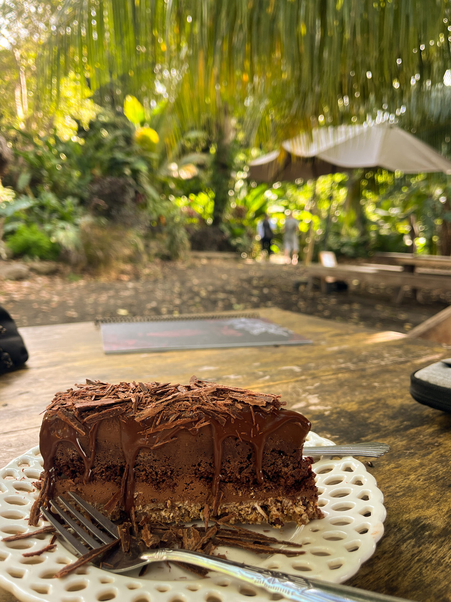 El Pital Chocolate Paradise, Ometepe travel guide
