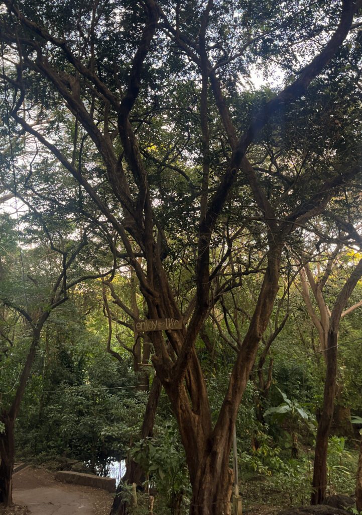 El pital hostel, Ometepe travel guide