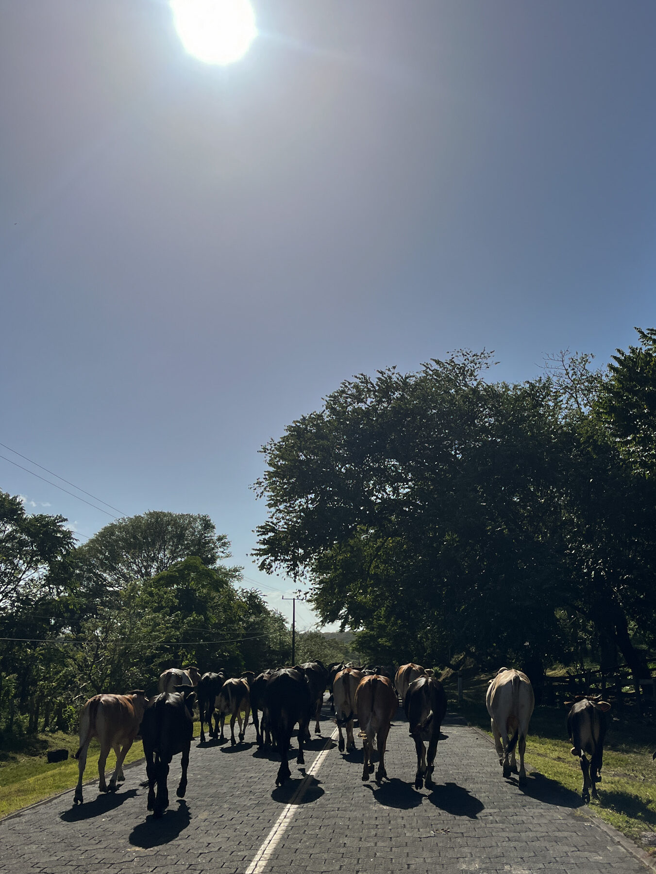 Explore Ometepe travel guide