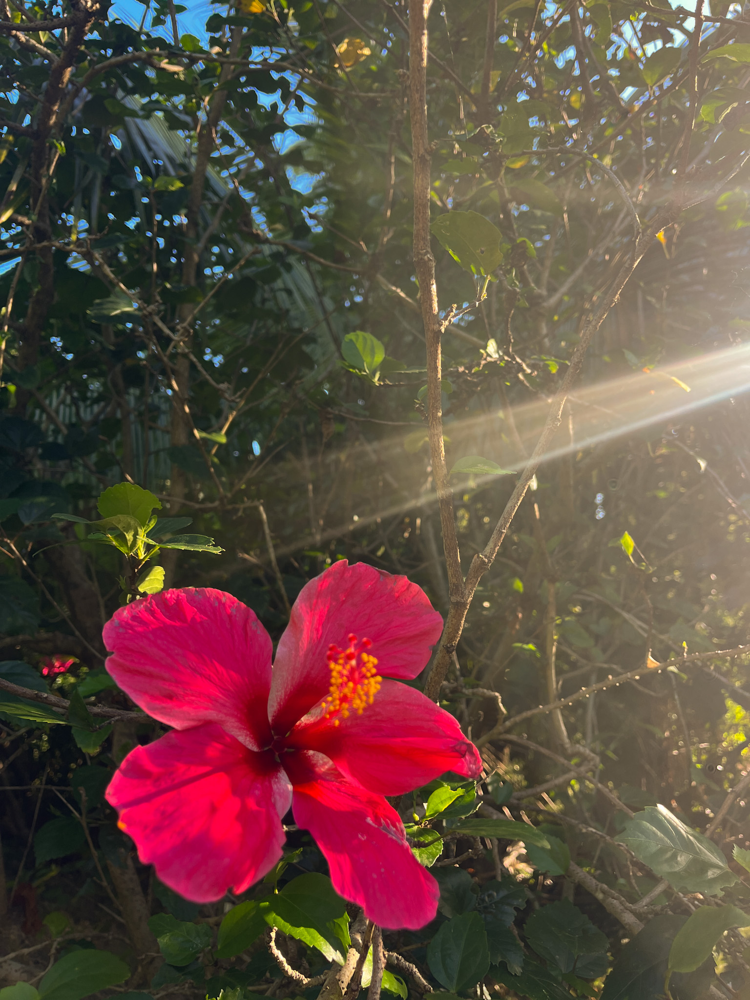 Nature Ometepe travel guide