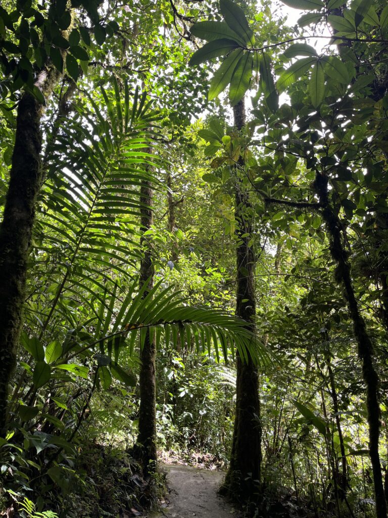 Costa Rica Bucket List: Top Experiences for Your Adventure